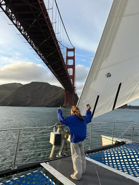 undefined Gallery Image 3