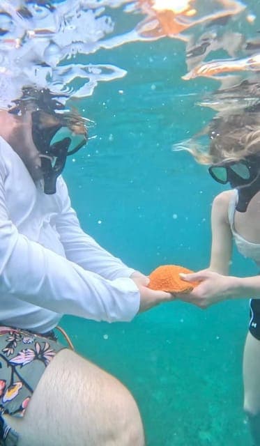 undefined Gallery Image 1