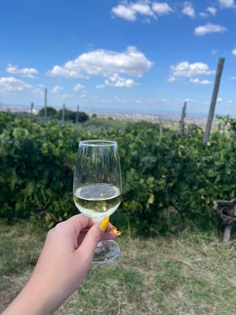 undefined Gallery Image 1