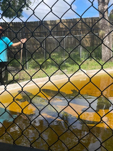 undefined Gallery Image 3