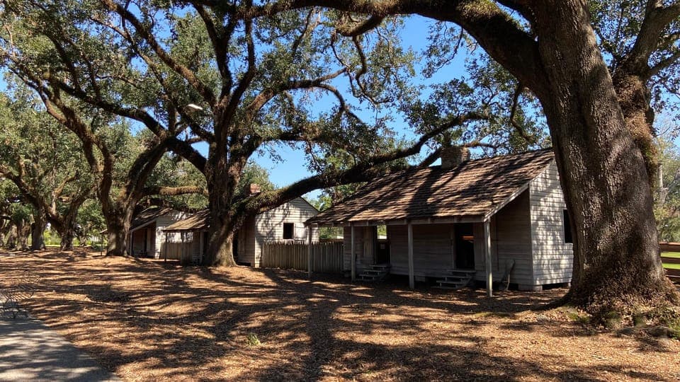 undefined Gallery Image 4