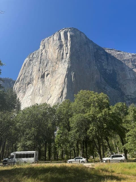 undefined Gallery Image 4