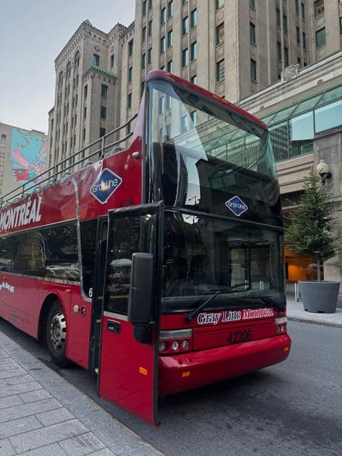 undefined Gallery Image 4