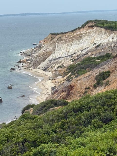 undefined Gallery Image 1