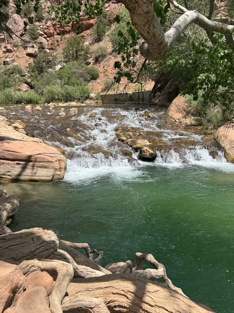 undefined Gallery Image 4