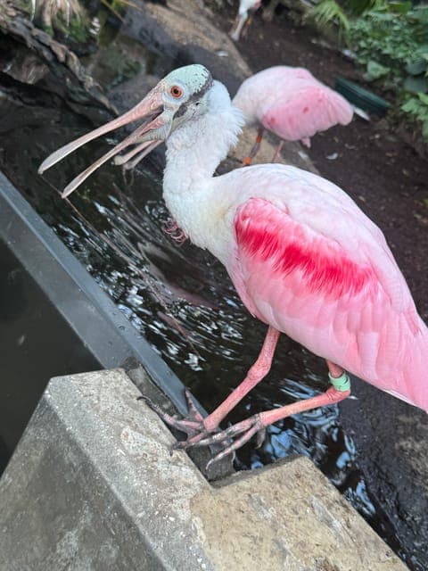 undefined Gallery Image 4