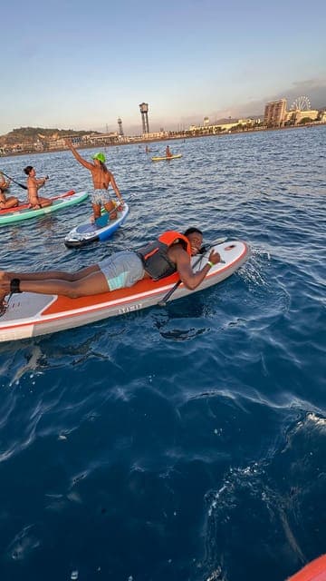 undefined Gallery Image 2