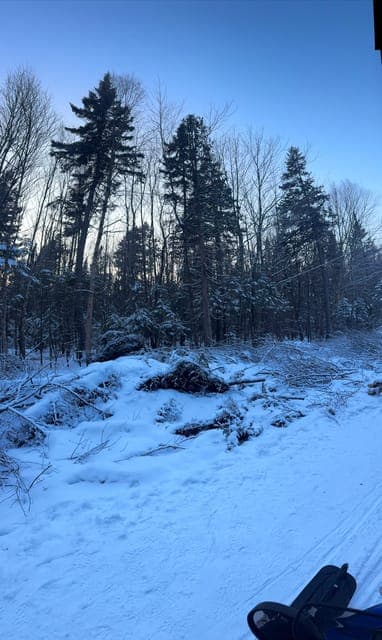 undefined Gallery Image 3