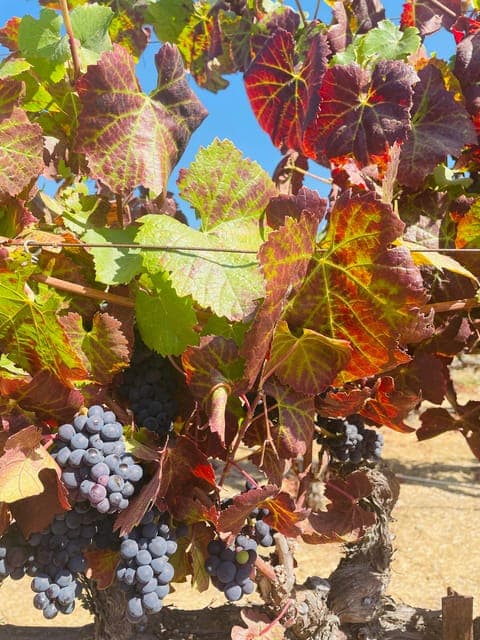 undefined Gallery Image 3