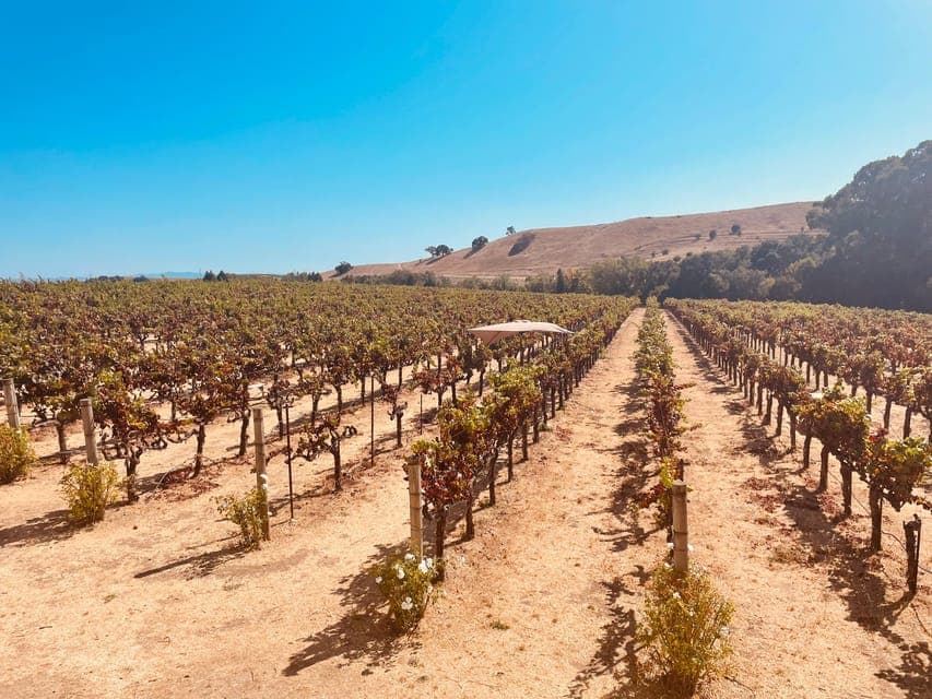 undefined Gallery Image 1