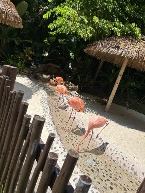 undefined Gallery Image 4