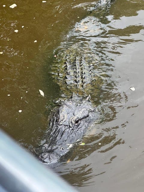 undefined Gallery Image 3