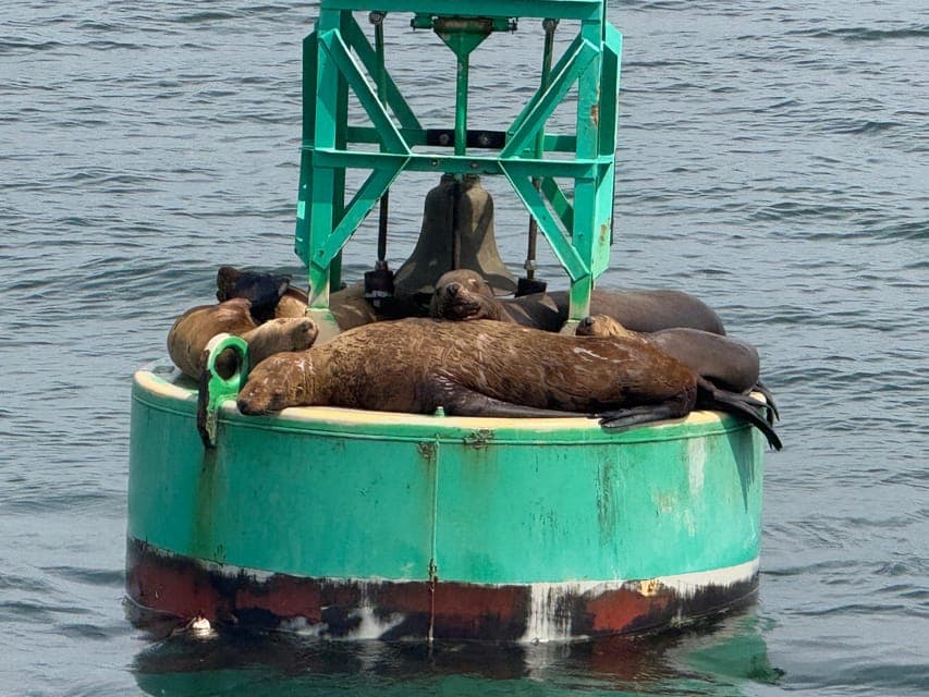 undefined Gallery Image 1