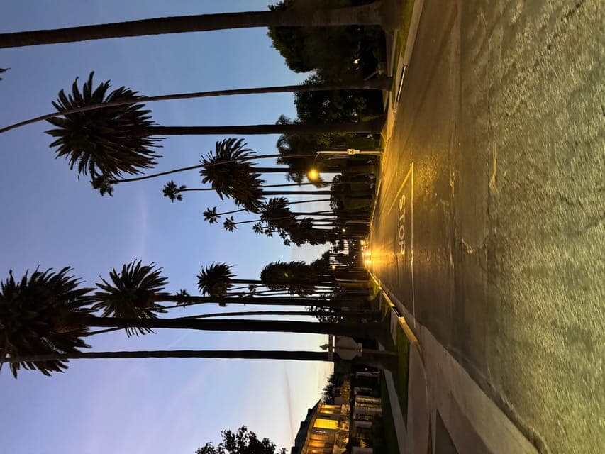 undefined Gallery Image 4