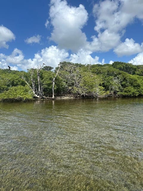 undefined Gallery Image 2