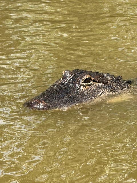 undefined Gallery Image 1