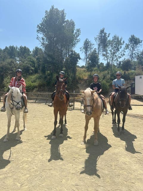 undefined Gallery Image 1