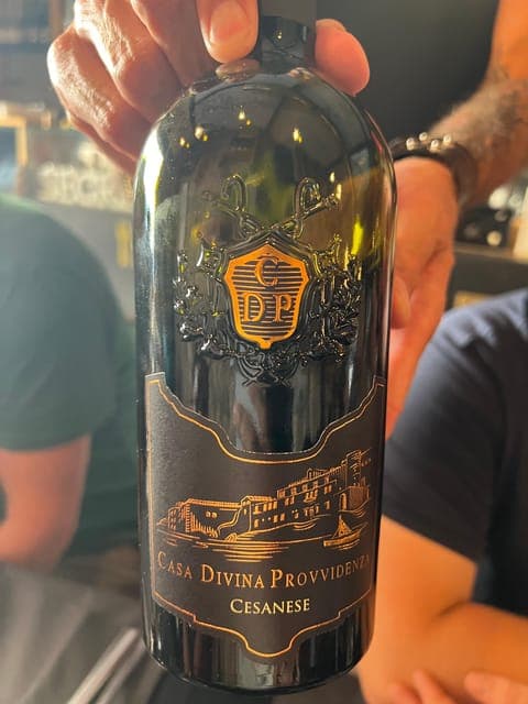 undefined Gallery Image 1