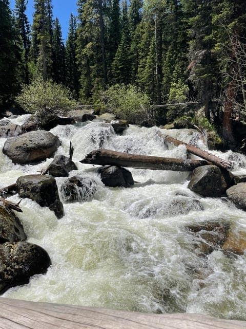 undefined Gallery Image 4