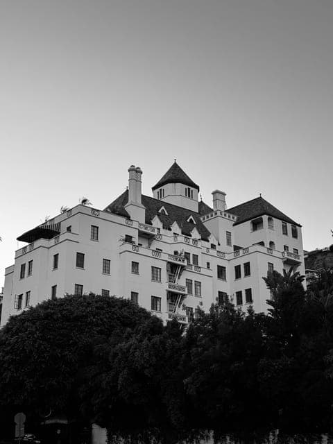 undefined Gallery Image 3