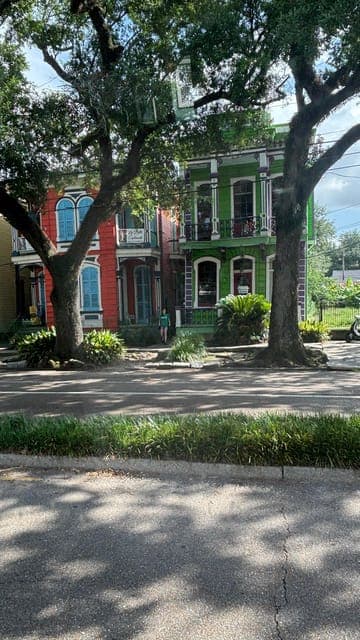 undefined Gallery Image 4