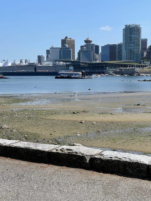 undefined Gallery Image 3