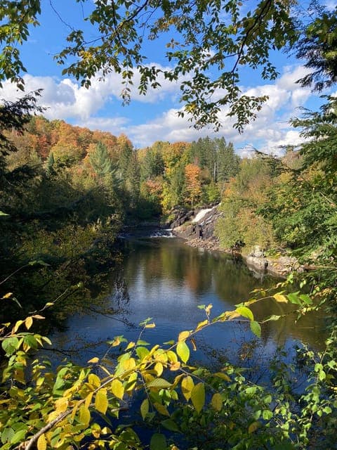 undefined Gallery Image 1