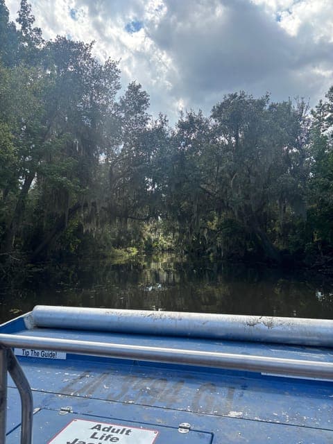 undefined Gallery Image 1