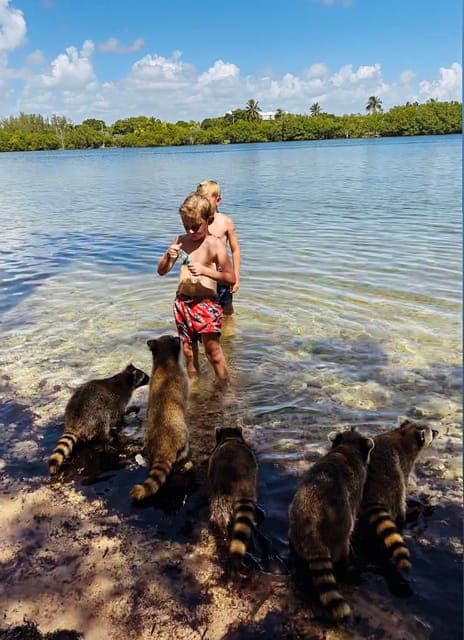 undefined Gallery Image 4