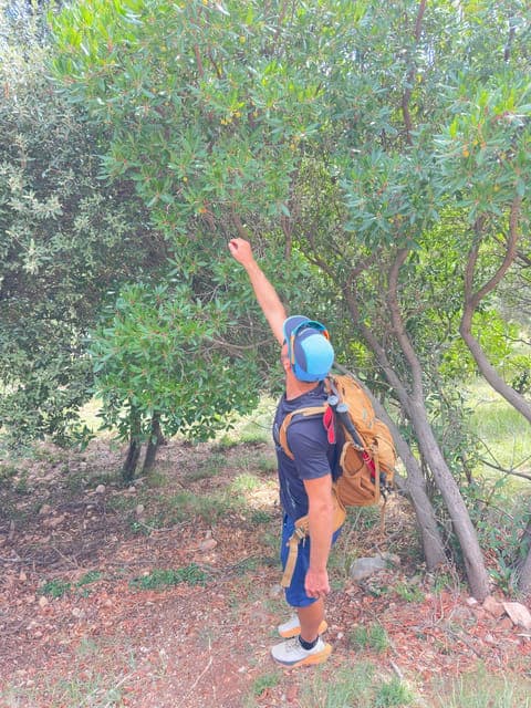 undefined Gallery Image 1