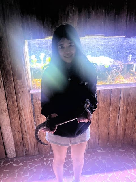 undefined Gallery Image 4