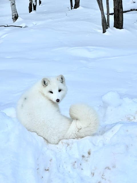 undefined Gallery Image 1