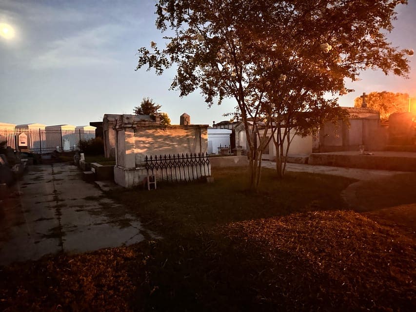 undefined Gallery Image 3