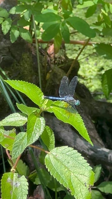 undefined Gallery Image 1