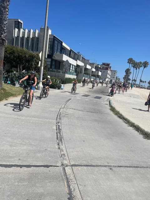 undefined Gallery Image 4