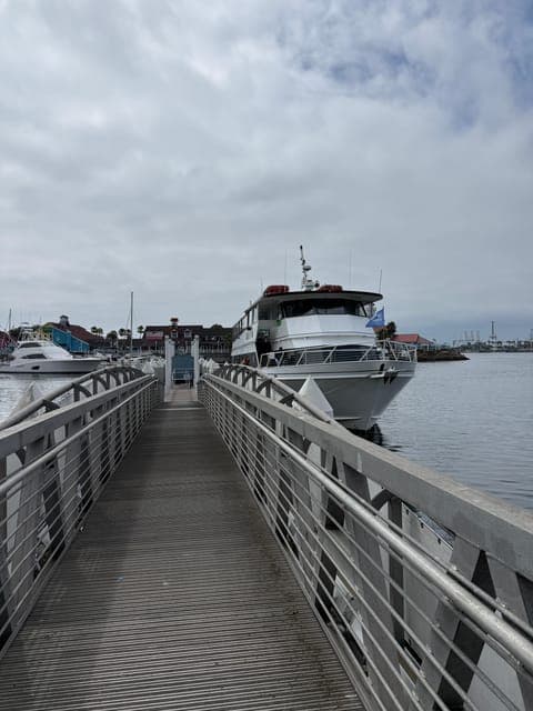 undefined Gallery Image 1