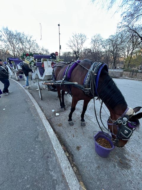 undefined Gallery Image 1