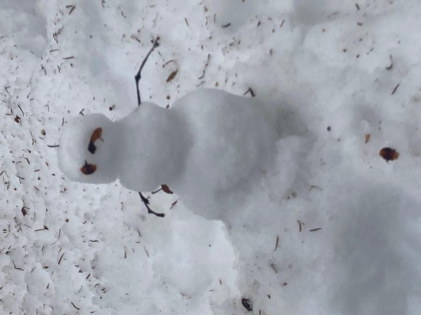 undefined Gallery Image 4