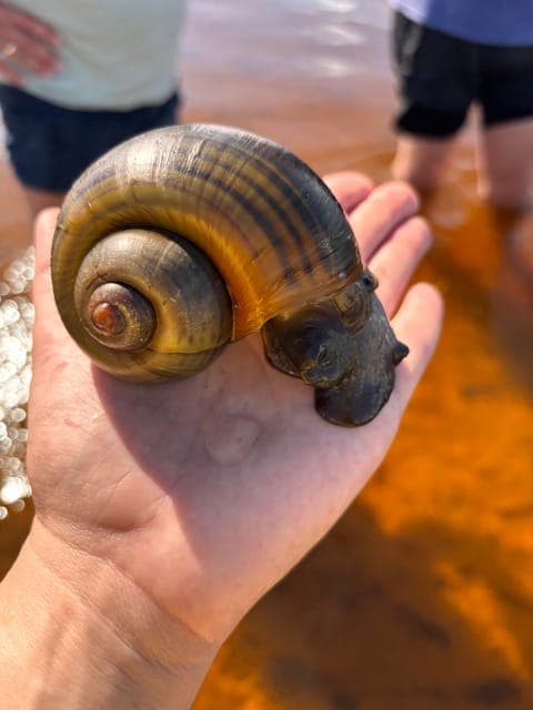 undefined Gallery Image 2