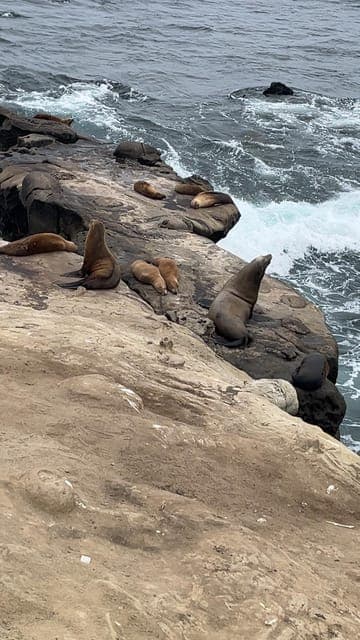 undefined Gallery Image 2