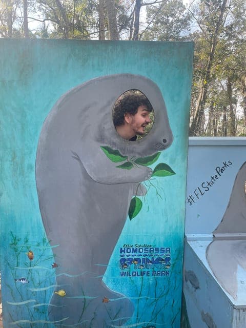 undefined Gallery Image 2