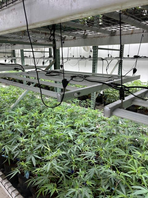 undefined Gallery Image 3