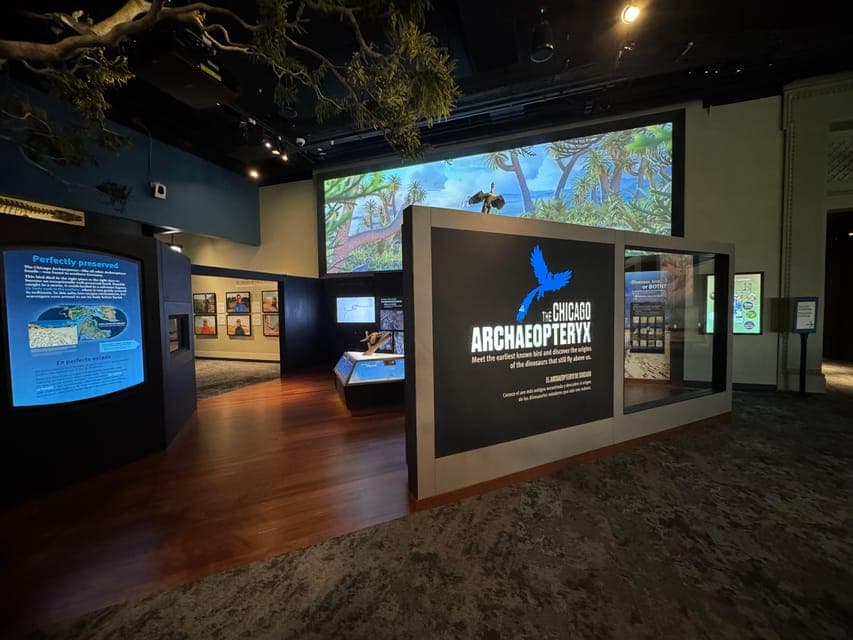 undefined Gallery Image 4