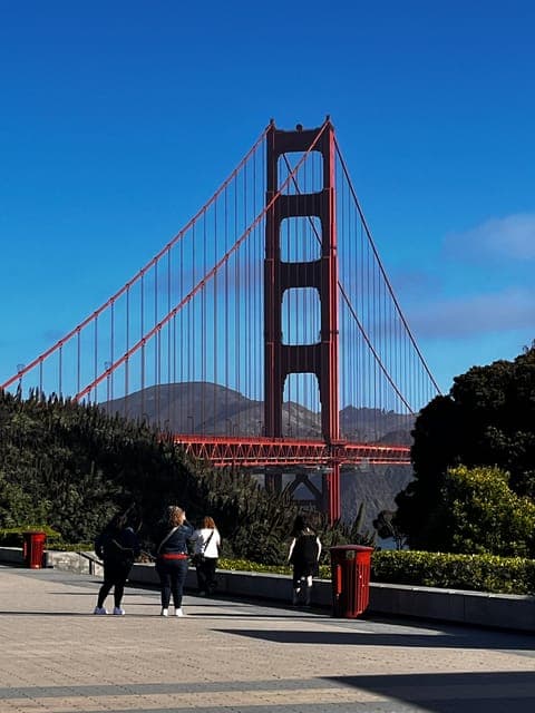 undefined Gallery Image 1