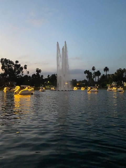 undefined Gallery Image 4