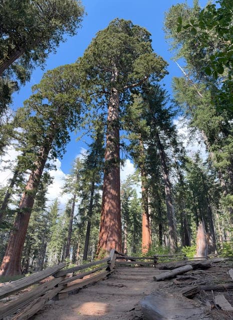 undefined Gallery Image 1