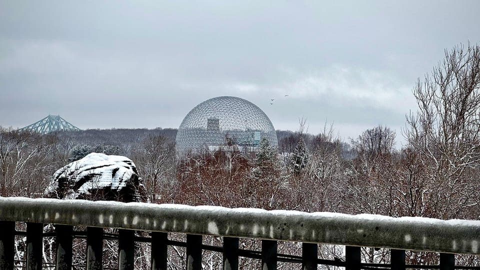 undefined Gallery Image 4