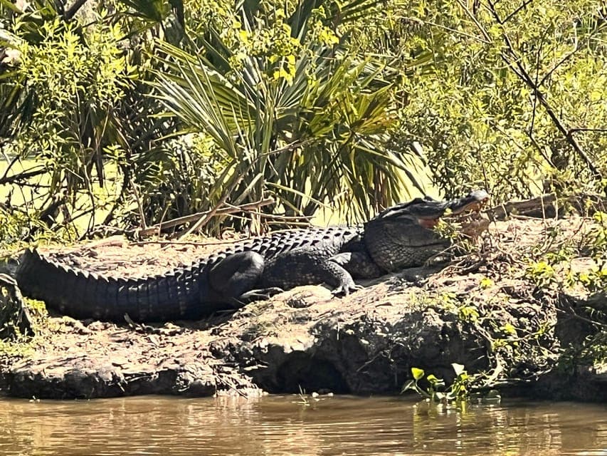 undefined Gallery Image 2