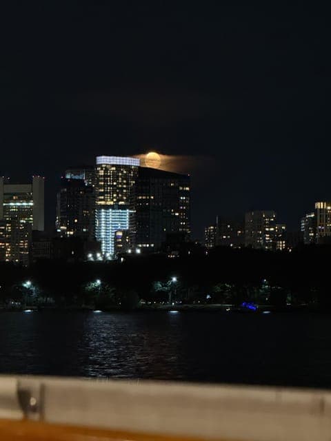 undefined Gallery Image 1