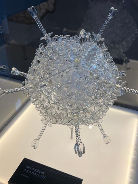 undefined Gallery Image 2